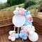 Pink and Blue Party Balloons,Pink Blue Latex Balloons 50 Pcs 12 inch Blue and Pink Gender Reveal Party Balloons for Gender Reveal Wedding Engagement Birthday Parties Baby Shower Decoration